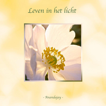 Leven in het Licht (Paperback) bij Singel 344