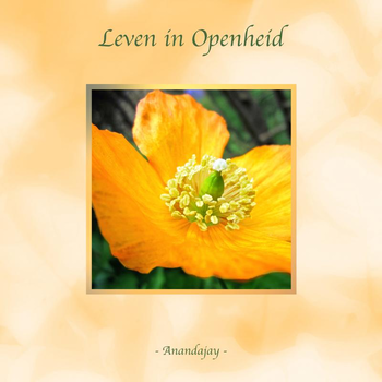 Leven in Openheid (Paperback) bij Singel 344