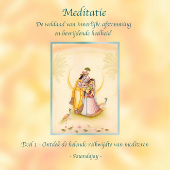 Meditatie, de weldaad van innerlijke afstemming en bevrijdende heelheid (Paperback) bij Singel 344