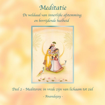 Meditatie, de weldaad van innerlijke afstemming en bevrijdende heelheid (Paperback) bij Singel 344