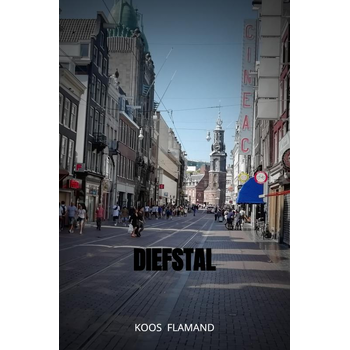 Diefstal (Paperback) bij Singel 344