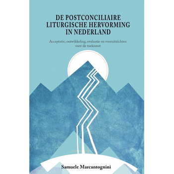 De postconciliaire liturgische hervorming in Nederland (Paperback) bij Singel 344