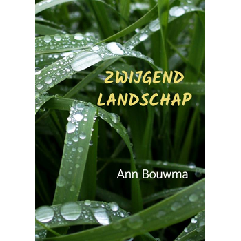 Zwijgend landschap (Paperback) bij Singel 344