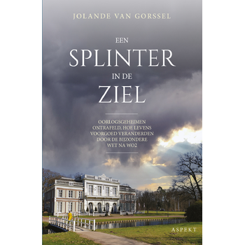 Een splinter in de ziel (Paperback) bij Singel 344
