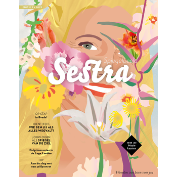 Sestra - Spiegelbeeld (Paperback) bij Singel 344