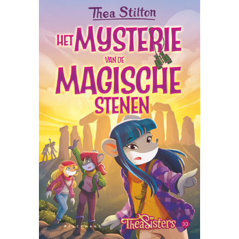 Het mysterie van de magische stenen (Hardback) bij Singel 344