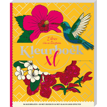 Kleurboek XL - Zilver & Glas in lood effecten (Paperback) bij Singel 344