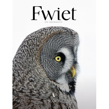 Fwiet (Paperback) van Jeroen Denaeghel