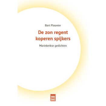 De zon regent koperen spijkers (Paperback) bij Singel 344