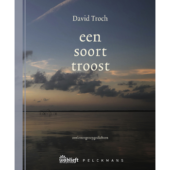 een soort troost (Paperback) bij Singel 344