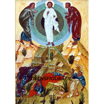 TRANSFIGURATIE (Paperback) bij Singel 344