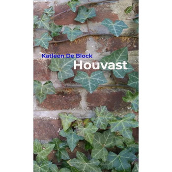 Houvast (Paperback) bij Singel 344