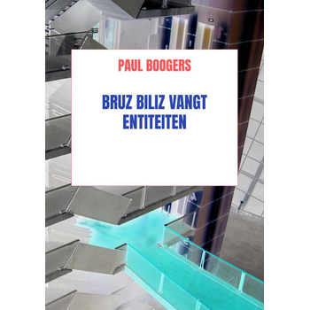 Bruz Biliz vangt entiteiten (Paperback) bij Singel 344