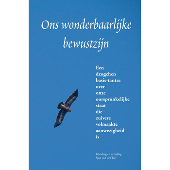 Ons wonderbaarlijke bewustzijn (Paperback) bij Singel 344