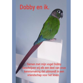 Dobby en ik. (Paperback) bij Singel 344