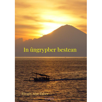 In ûngrypber bestean (Paperback) bij Singel 344
