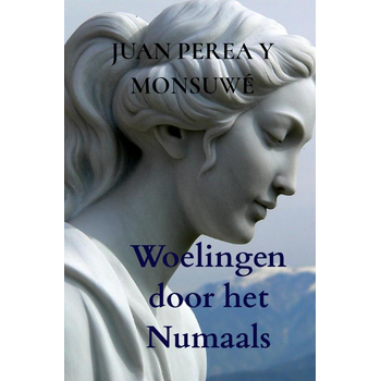 Woelingen door het Numaals (Hardback) bij Singel 344