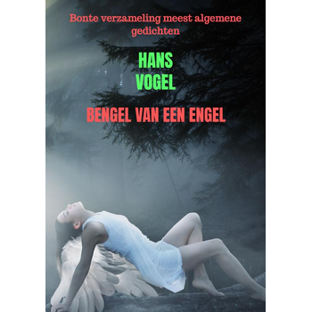 Bengel van een engel (Paperback) bij Singel 344