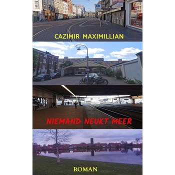 Niemand neukt meer (Paperback) bij Singel 344
