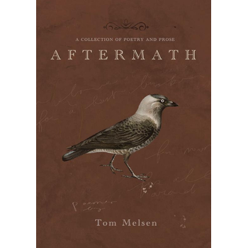 Aftermath (Paperback) bij Singel 344