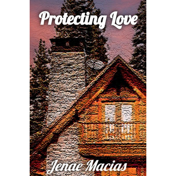 Protecting Love (Hardback) bij Singel 344
