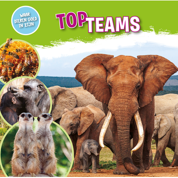 Topteams (Hardback) bij Singel 344