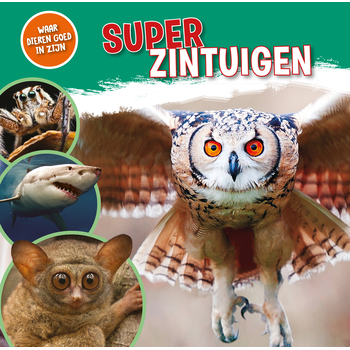 Superzintuigen (Hardback) bij Singel 344