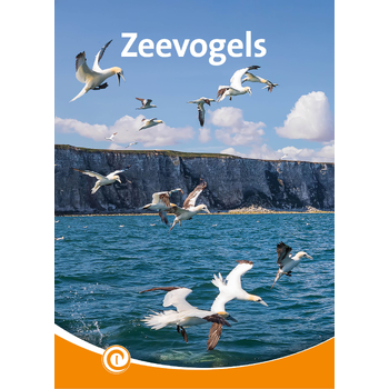 Zeevogels (Hardback) bij Singel 344