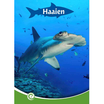 Haaien (Hardback) bij Singel 344