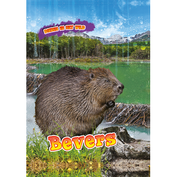 Bevers (Hardback) bij Singel 344