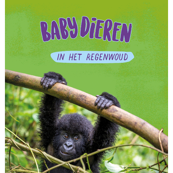 Babydieren in het regenwoud (Hardback) bij Singel 344