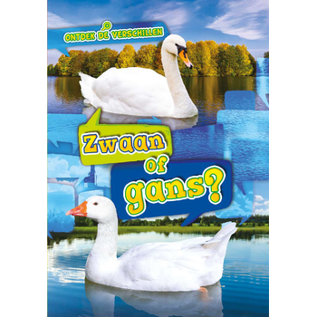 Zwaan of gans? (Hardback) bij Singel 344
