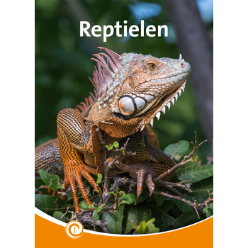 Reptielen (Hardback) bij Singel 344