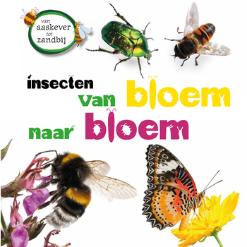 Insecten van bloem tot bloem (Hardback) bij Singel 344