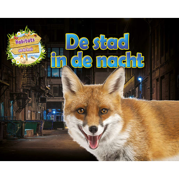 De stad in de nacht (Hardback) bij Singel 344