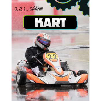 Kart (Hardback) bij Singel 344