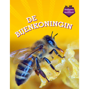 De bijenkoningin (Hardback) van Maivboon Sang