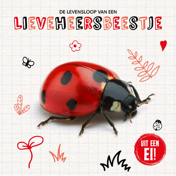 De levensloop van een lieveheersbeestje (Hardback) bij Singel 344