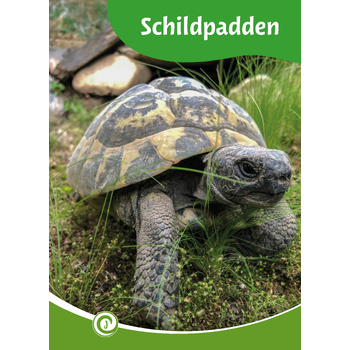 Schildpadden (Hardback) bij Singel 344
