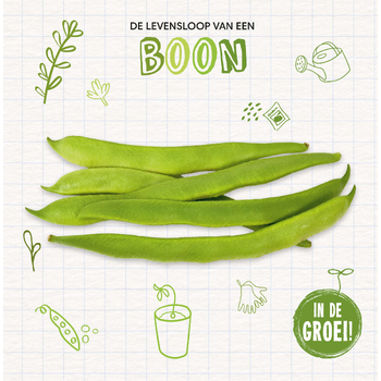 Boon (Hardback) bij Singel 344