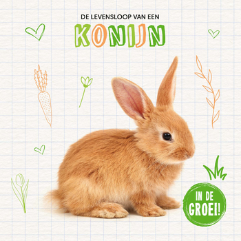 Konijn (Hardback) bij Singel 344