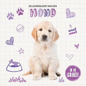 Hond (Hardback) bij Singel 344