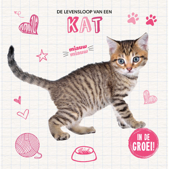 Kat (Hardback) bij Singel 344