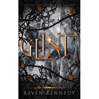 Glint (Paperback) bij Singel 344