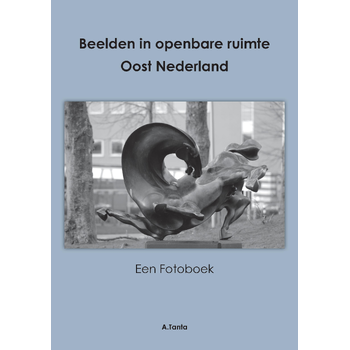 Beelden in openbare ruimte Oost Nederland (Paperback) bij Singel 344