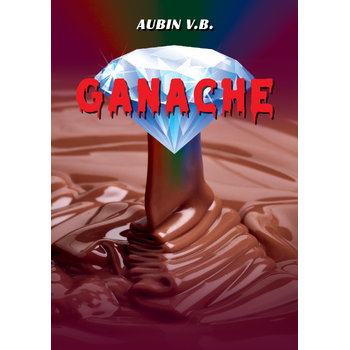 Ganache, een diamantenmoord dossier (Paperback) bij Singel 344