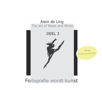 3 (Hardback) bij Singel 344