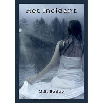 Het Incident (Paperback) bij Singel 344