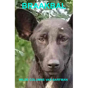 Braakbal (Paperback) bij Singel 344