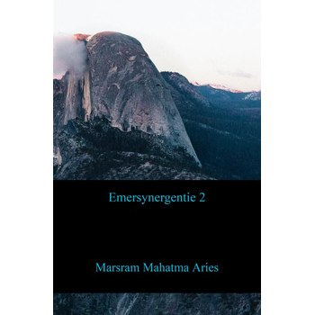 Emersynergentie 2 (Paperback) bij Singel 344